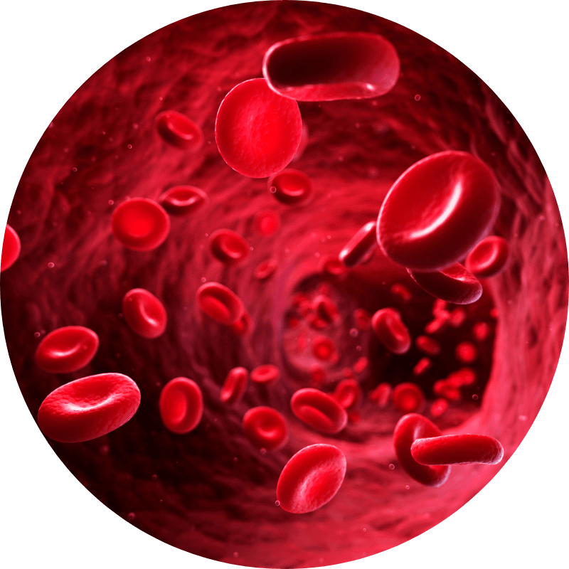 Passo 2 do tratamento com GlycenyX