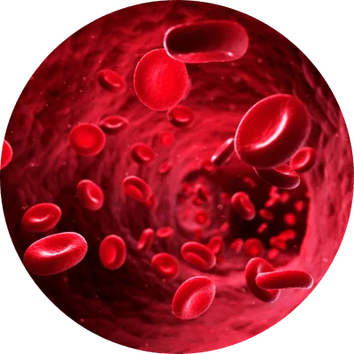 Passo 2 da suplementação com GlycenyX